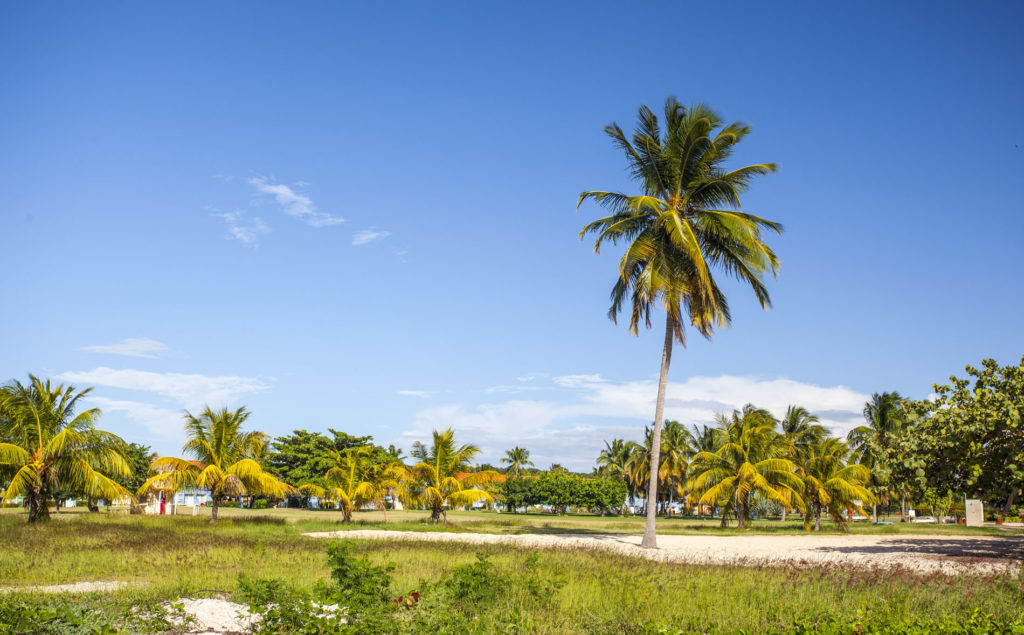 Playa Rancho Luna - Palma