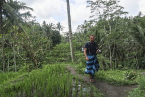 Pura Gunung Kawi - Já na poli