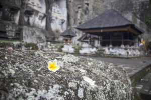 Pura Gunung Kawi - chrám a kytka