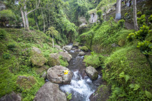 Pura Gunung Kawi - potok