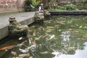 Pura Tirta Empul - jezýrko