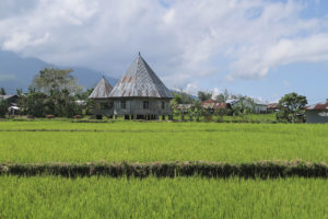 Ruteng - Spider Web Rice Field