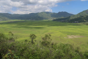 Ruteng - Spider Web Rice Field - Panorama