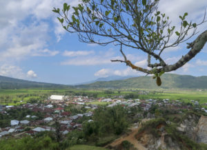 Ruteng - Spider Web Rice Field - Vesnice a strom