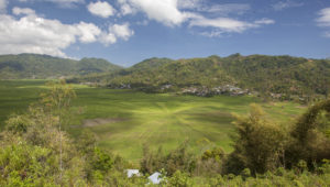 Ruteng - Spider Web Rice Field- Detail