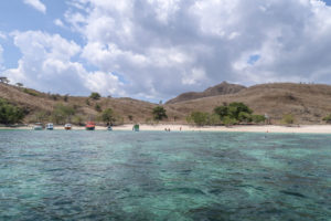 Ostrov Komodo - Pink beach